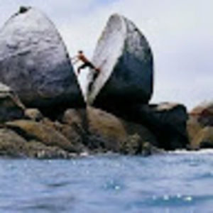 Meet your Posher, Tarik